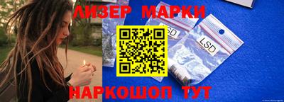 индика Новозыбков
