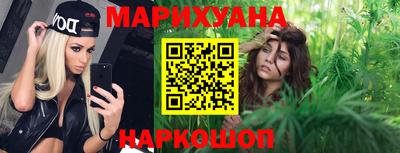 индика Новозыбков