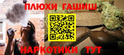 индика Новозыбков